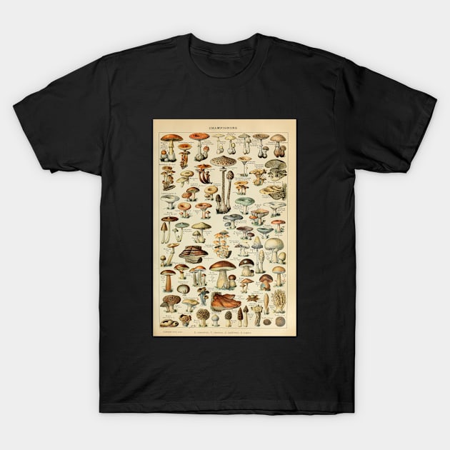 Mushrooms Vintage Botanical Illustration T-Shirt by codeclothes